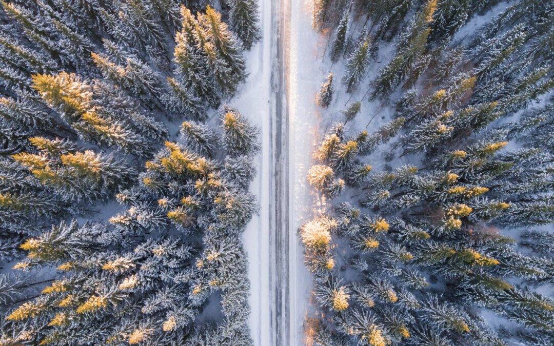 A stunning aerial view of a snow-covered forest with a serene road cutting through. Perfect for winter travel themes.