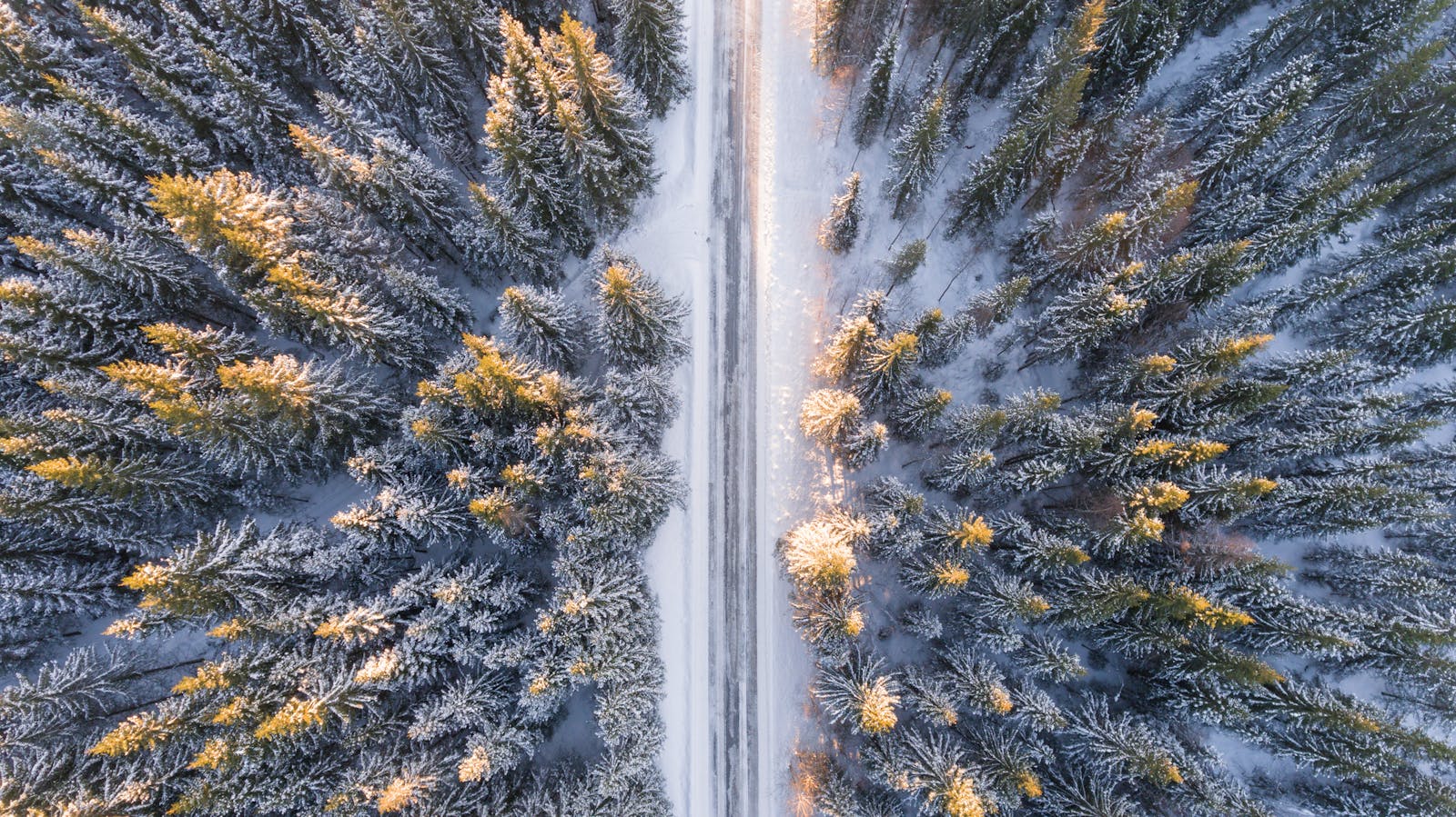 Stop Holiday Burnout Before It Starts: Your Sanity Guide